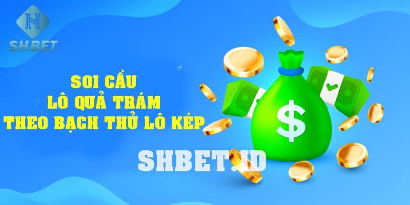 lô hình quả trám